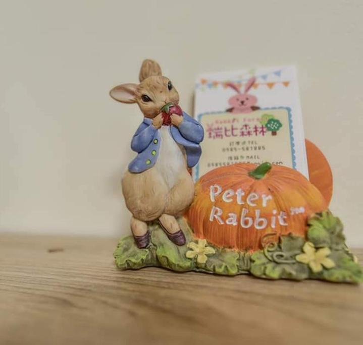 רויסוי Rabbit Forest B&B מראה חיצוני תמונה